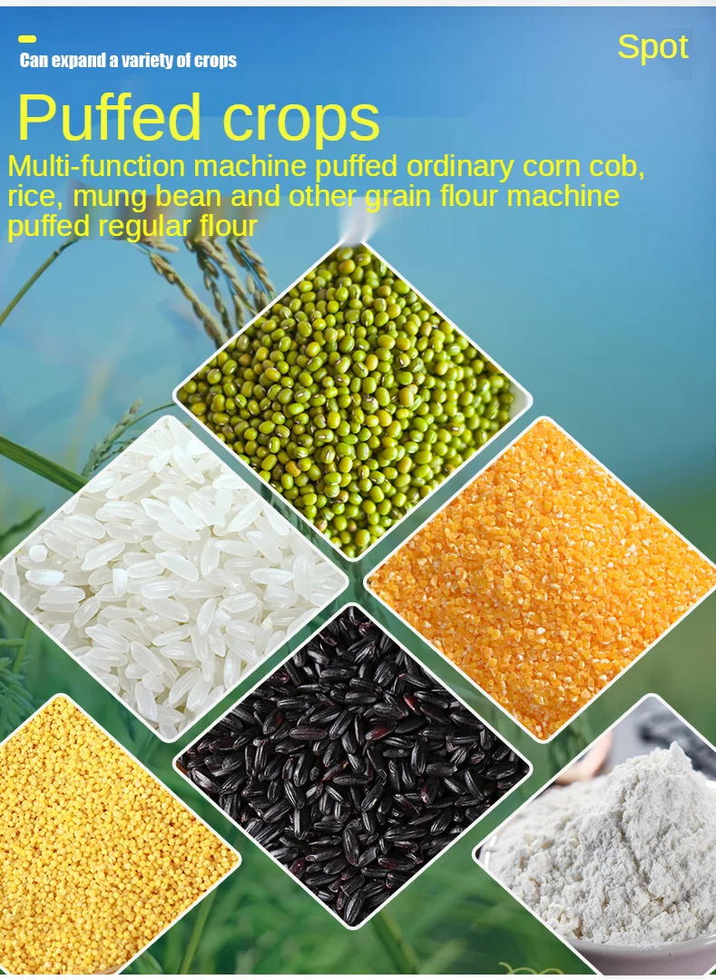 Hot Selling  Small Business Us - Food Snacks Business reseña y precio